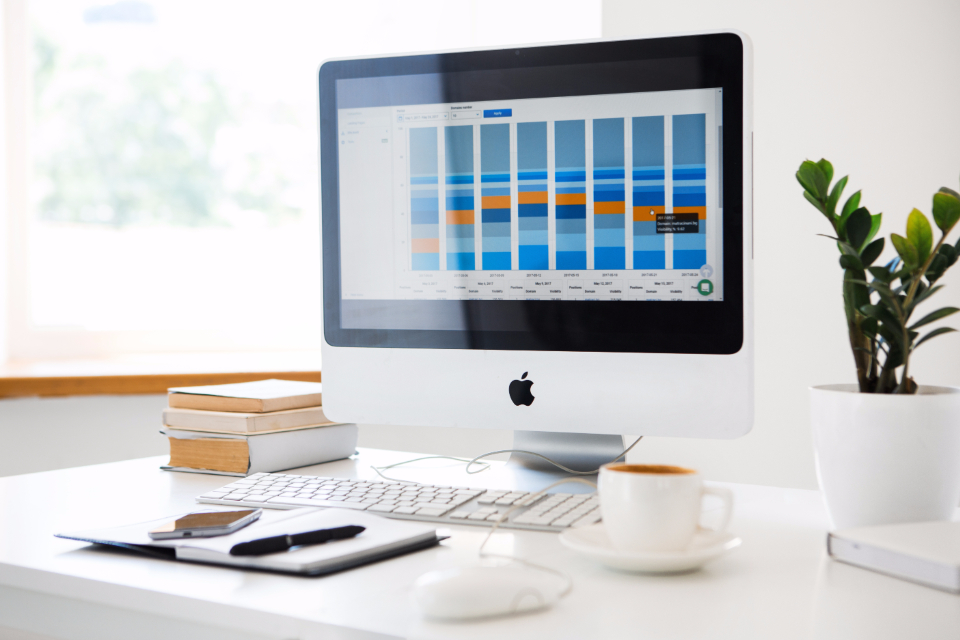 SEO & Digital Marketing